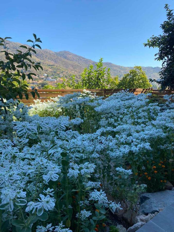Appartamento To Konatzi Tis Maroulas Kyperounda Esterno foto